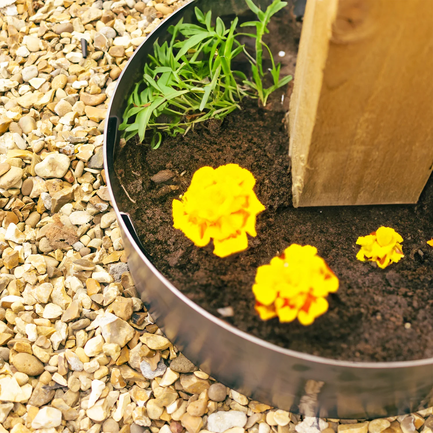 Bellamy Circular Rustic Steel Planter & Post Mounting Base - Image 9