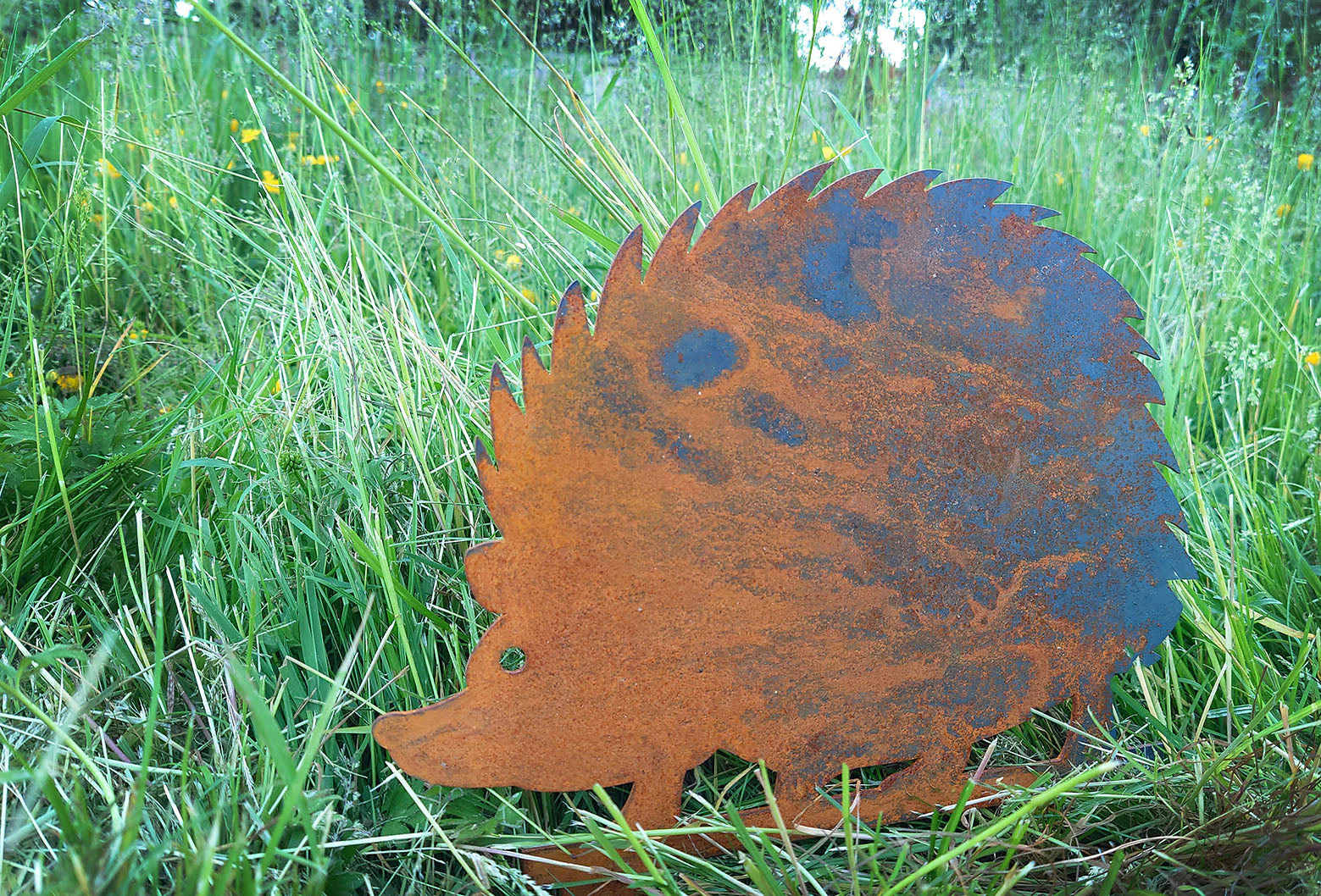 Bellamy Rustic Steel Garden Art Metal Hedgehog Ornament - Image 12