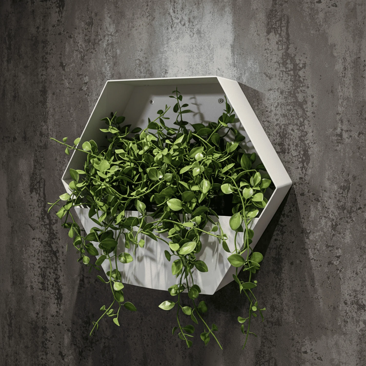 Bellamy Rustic Steel Wall Mount Hexagon Planter - Image 12