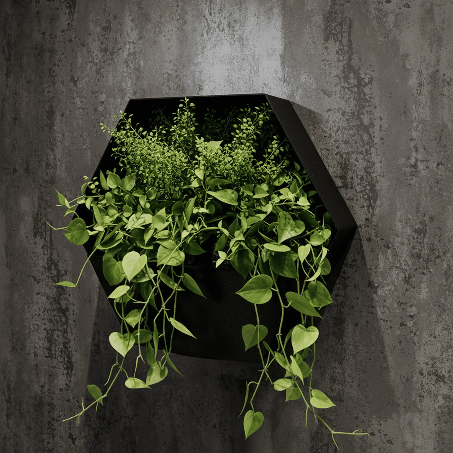 Bellamy Rustic Steel Wall Mount Hexagon Planter - Image 13