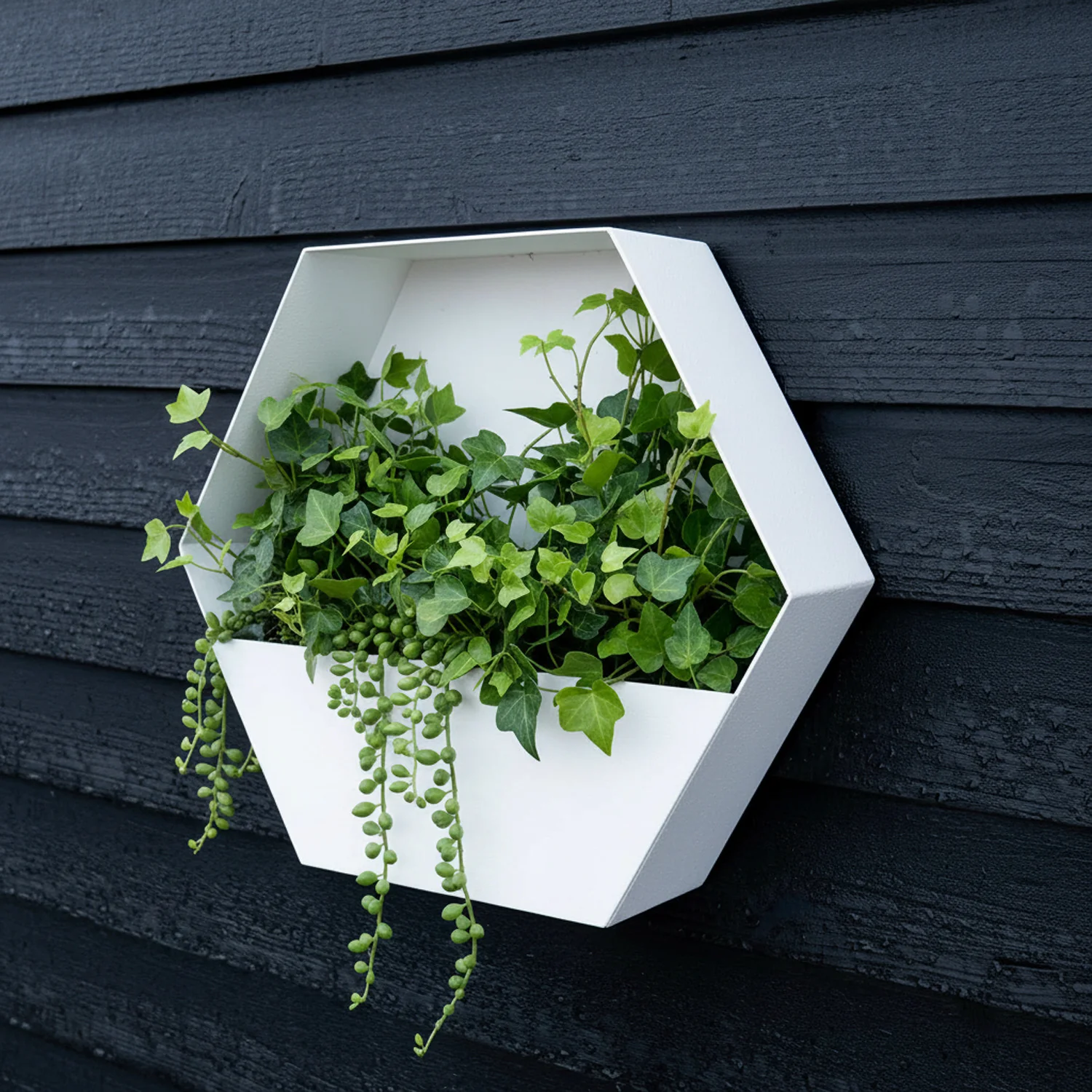 Bellamy Rustic Steel Wall Mount Hexagon Planter - Image 21