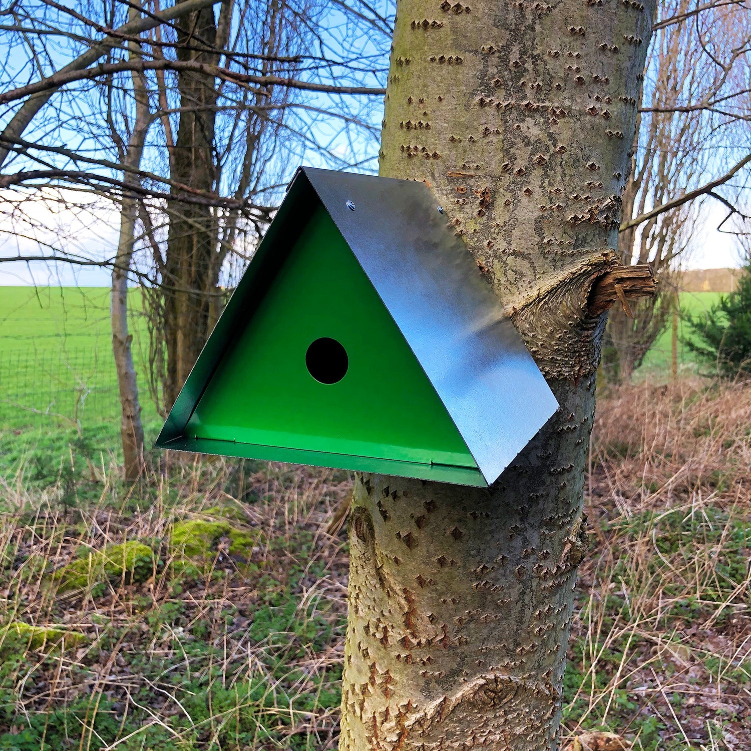 Bellamy Small Triangular Bird Box - Image 7