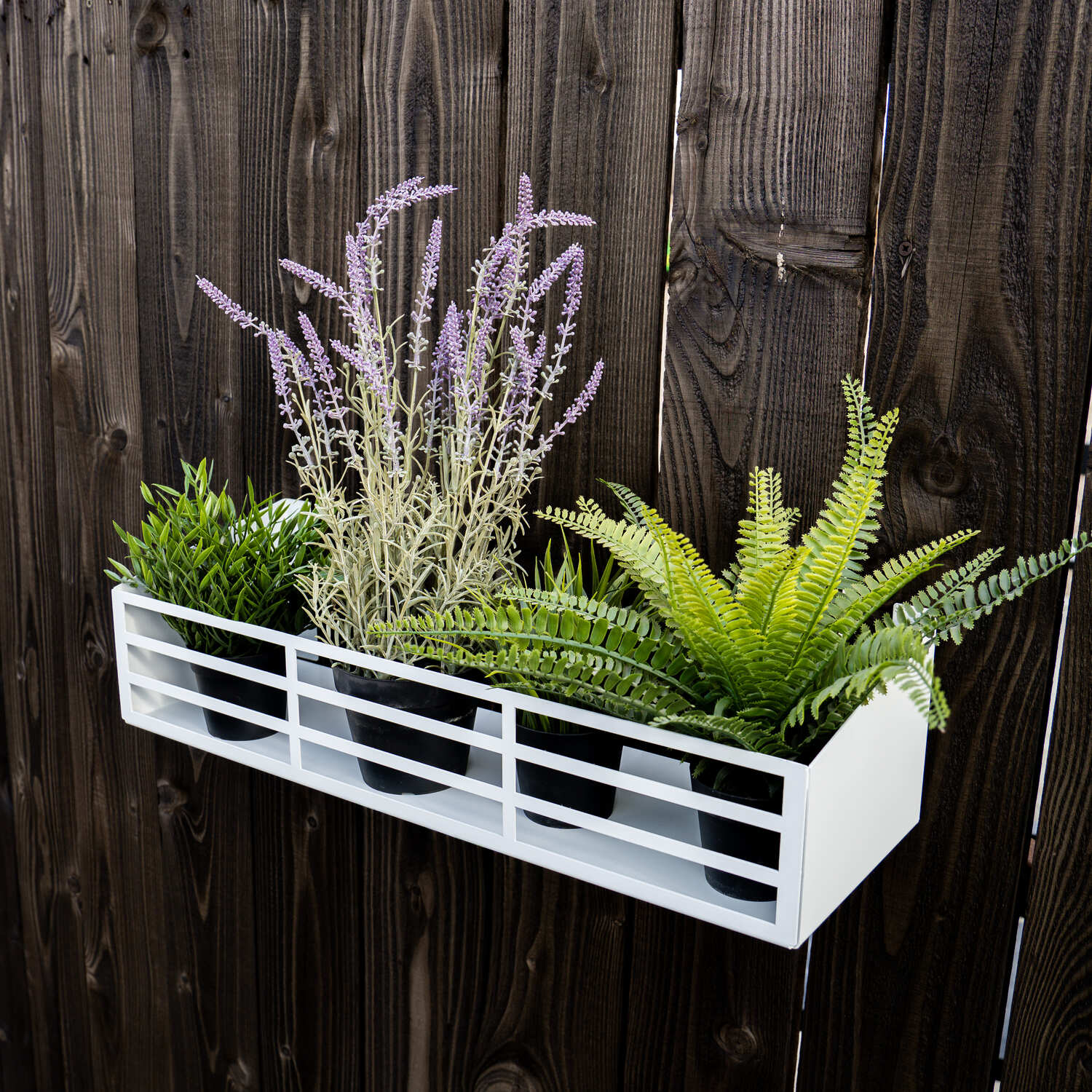 Bellamy Steel Wall Mount Trough-Style Plant Pot Holder & Shelf - Image 7