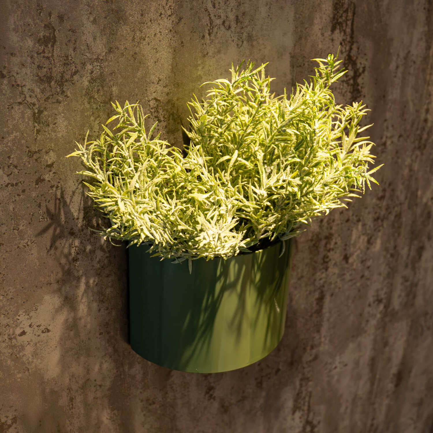 Bellamy Indoor or Outdoor Wall Mount Semi-Circular Sconce-Style Planter - Image 5