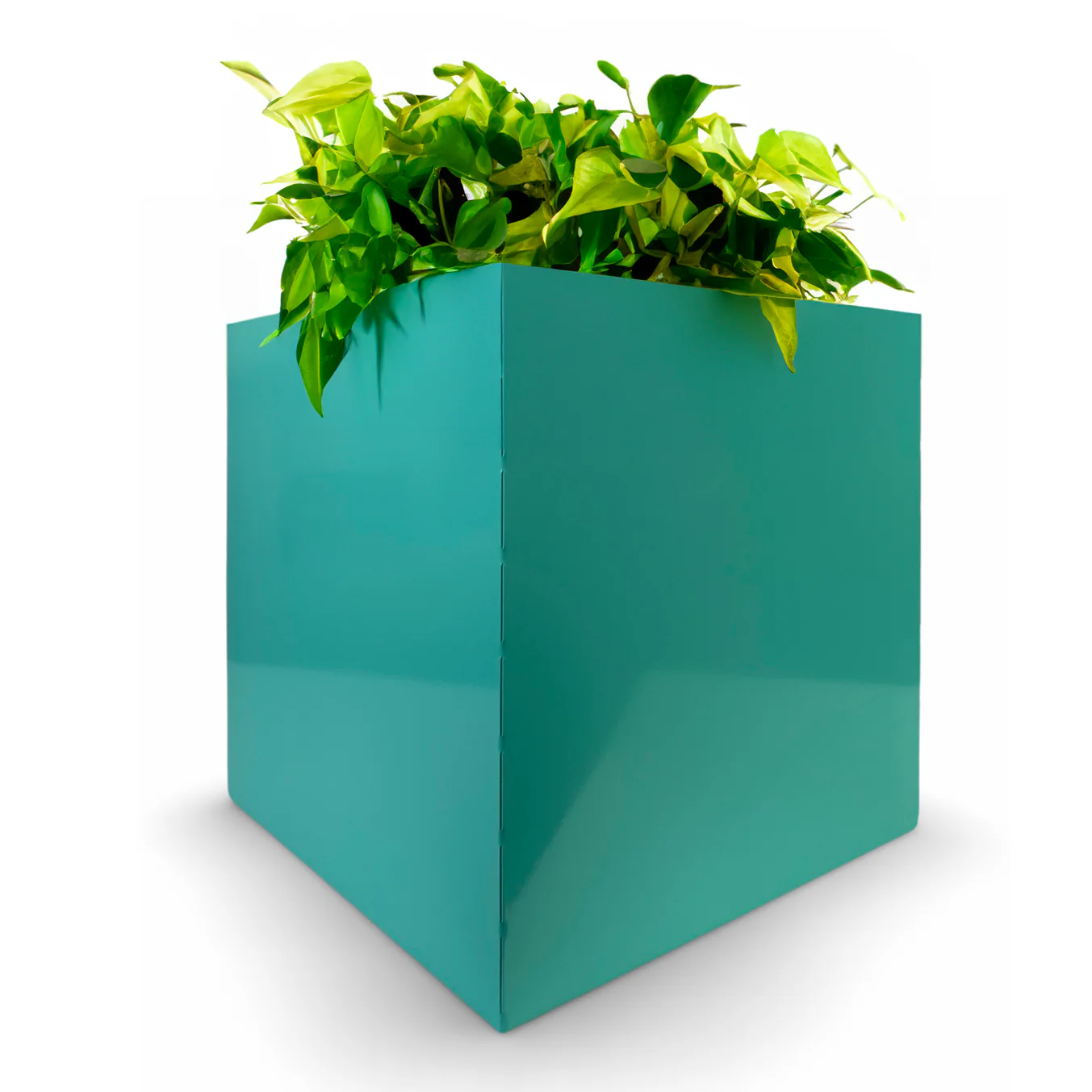 Cubitz Multi-Use Steel Cube - Outdoor Planter, Indoor Storage & More! - Image 34