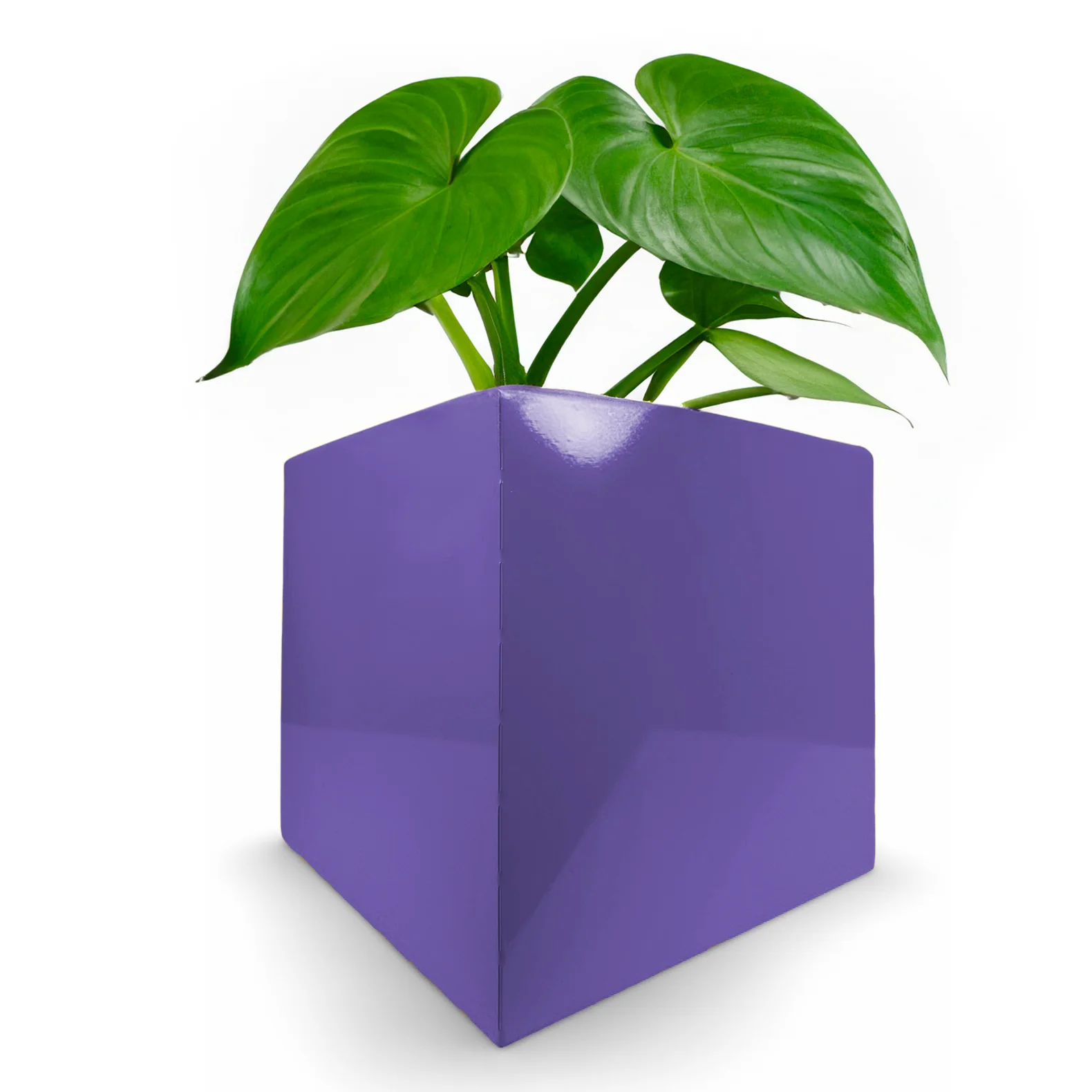Cubitz Multi-Use Steel Cube - Outdoor Planter, Indoor Storage & More! - Image 42
