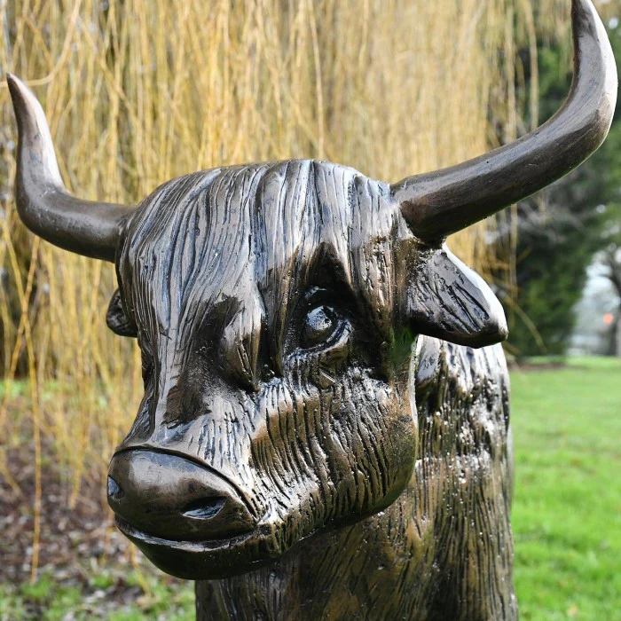Fergus McArthur Highland Cow Bronze Effect Sculpture - Image 7