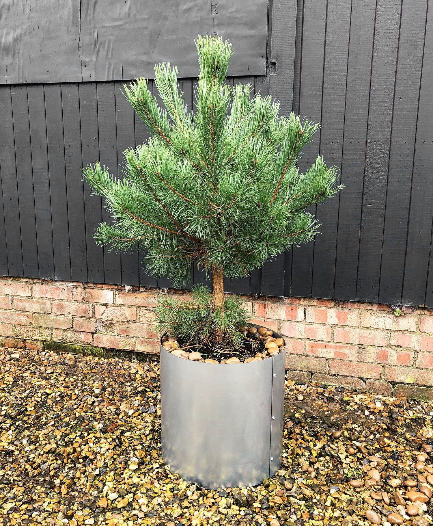 Bellamy Galvanised Steel Circular Planter - Image 7