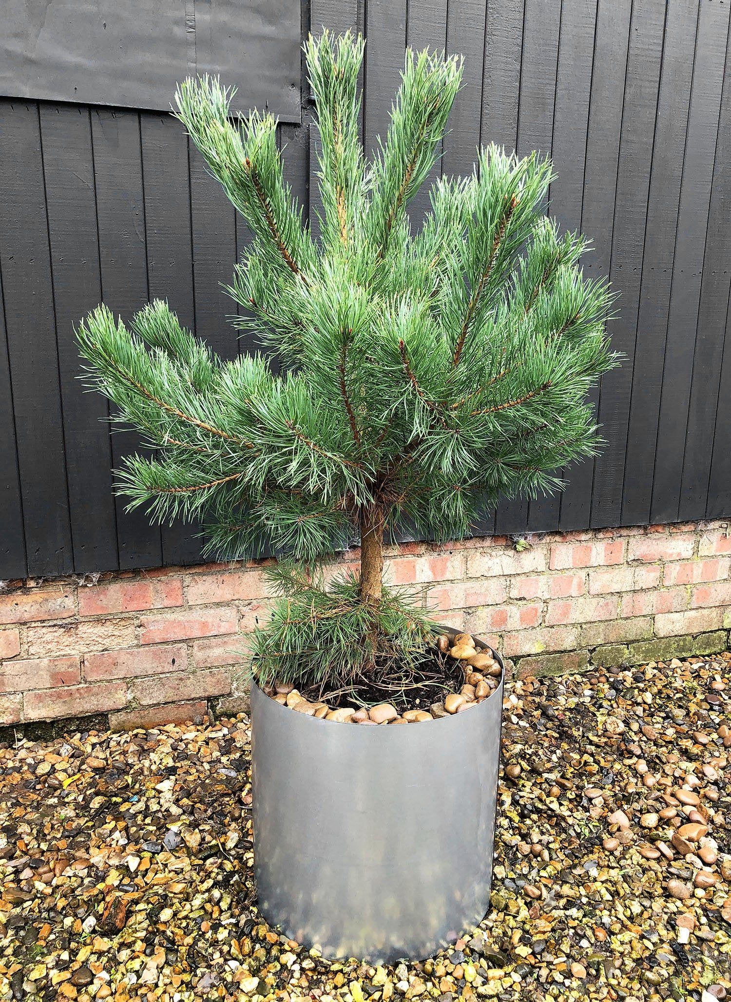 Bellamy Galvanised Steel Circular Planter - Image 8