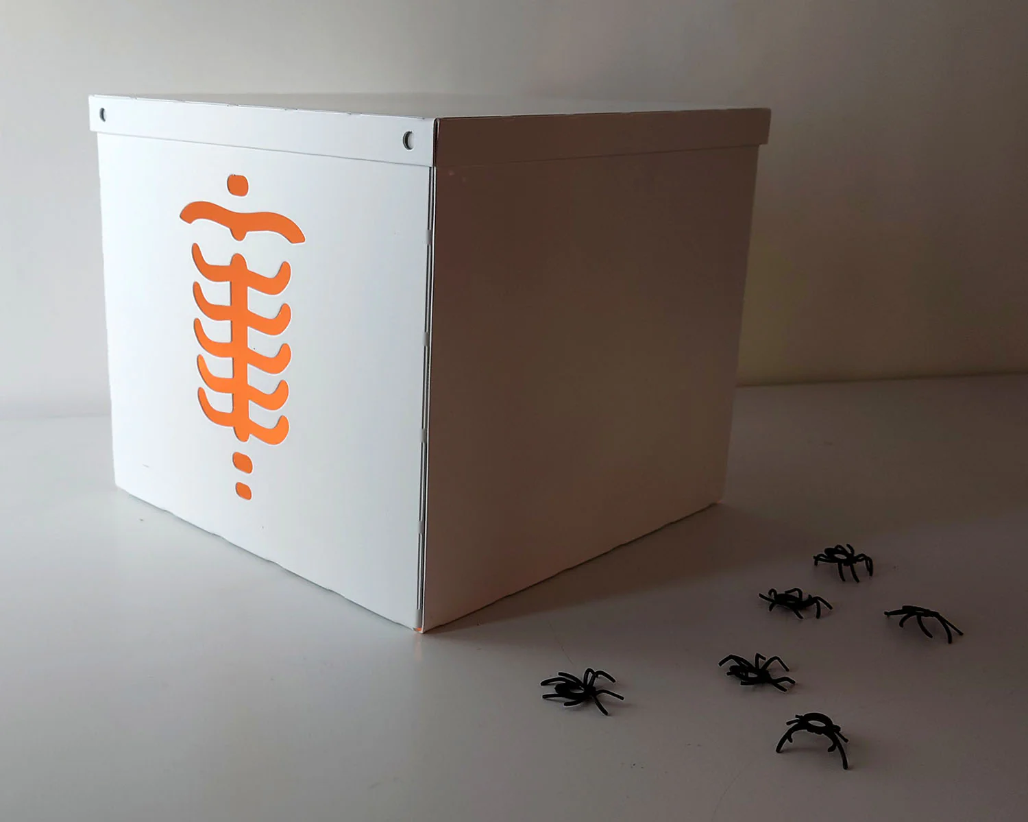 Halloween "Trick or Treat" Skeleton Box - Image 8