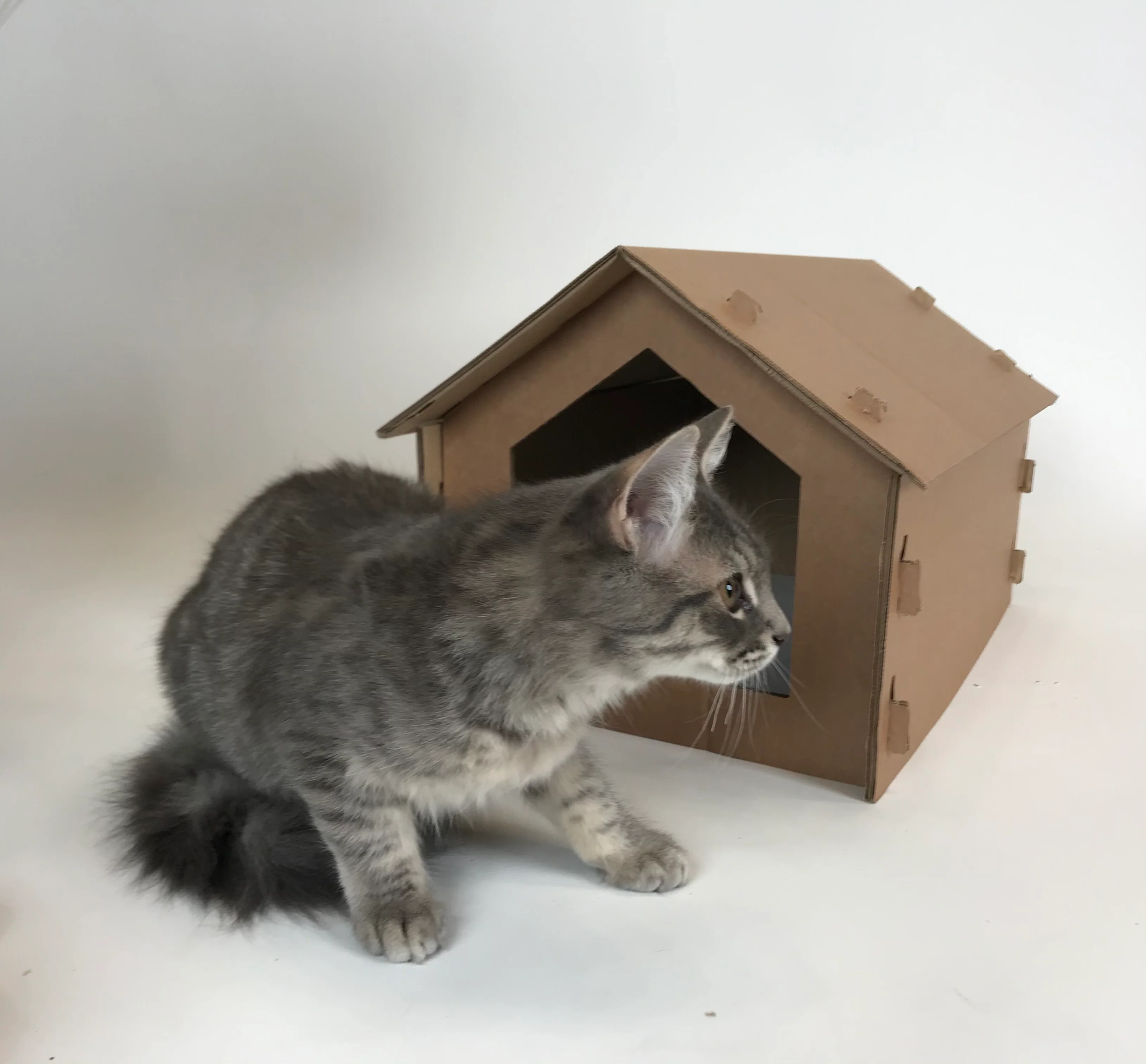 Jake's Farm Yard Cardboard Cat Hide and Seek Toy House - Image 5