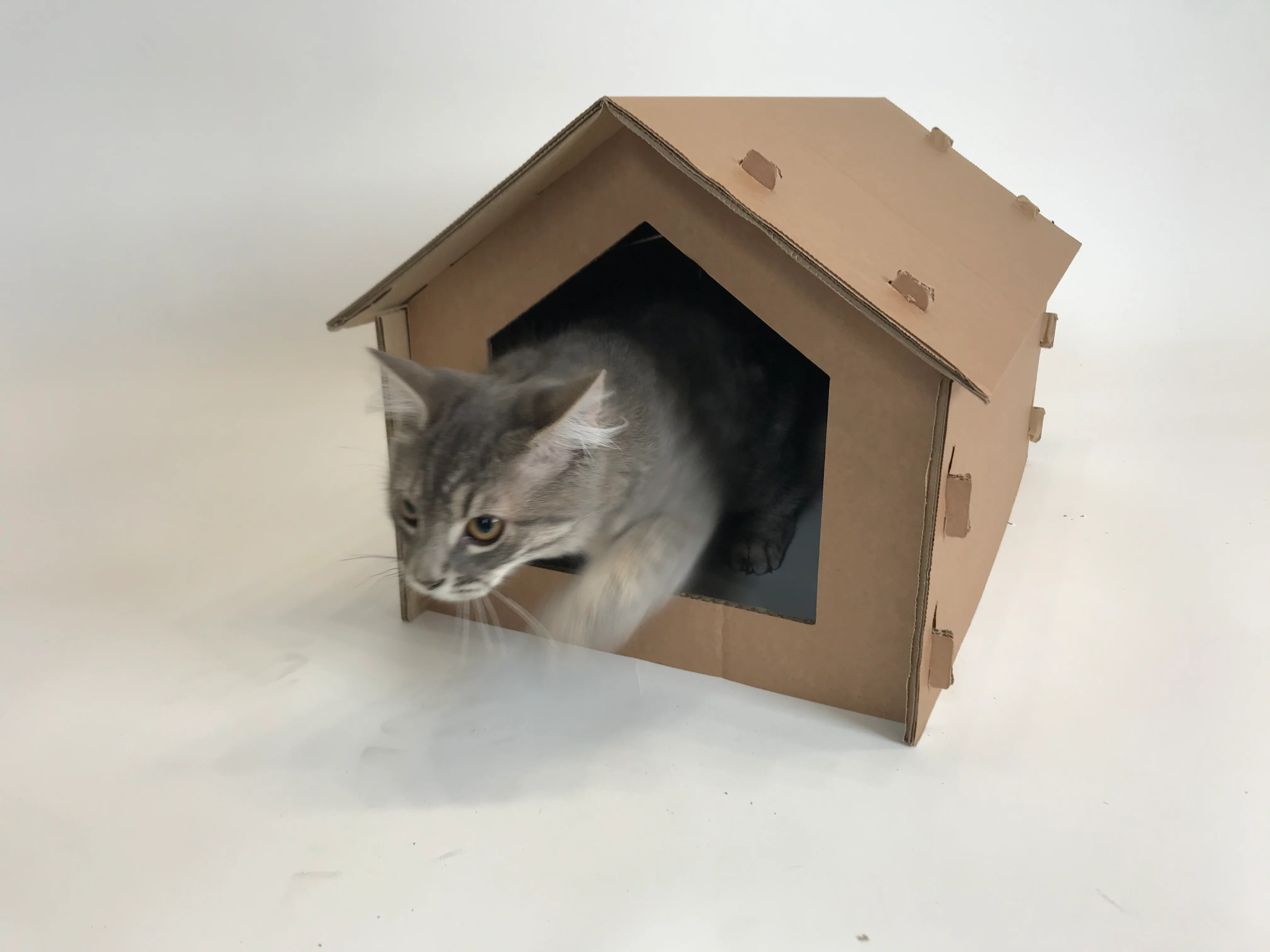 Jake's Farm Yard Cardboard Cat Hide and Seek Toy House - Image 7