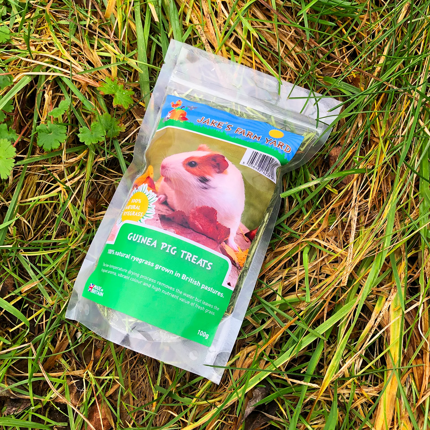 Jake's Farm Yard Guinea Pig Ryegrass Treats (100g Pack)