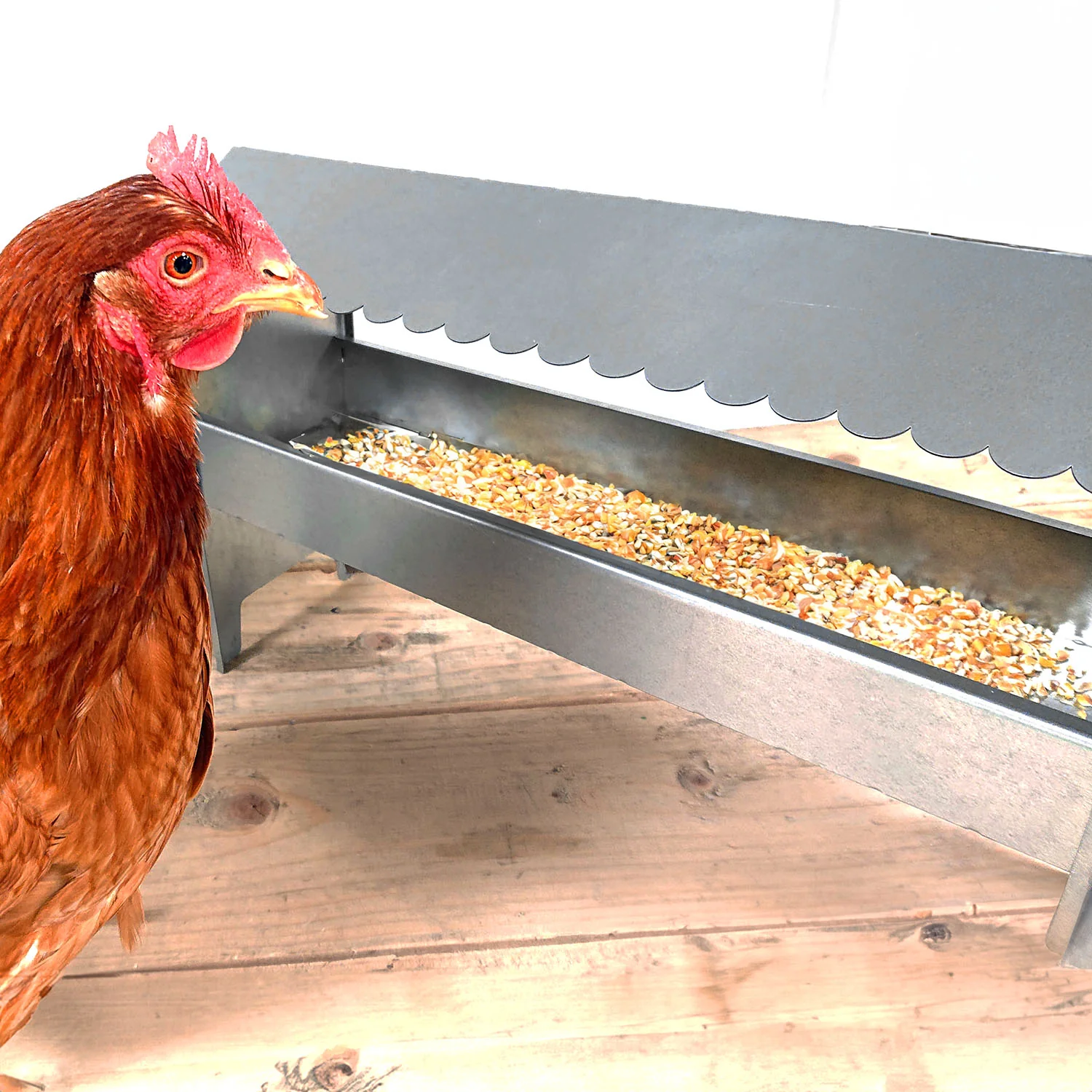 Jake's Farm Yard Mixed Poultry Grit (500g Bag) - Image 3