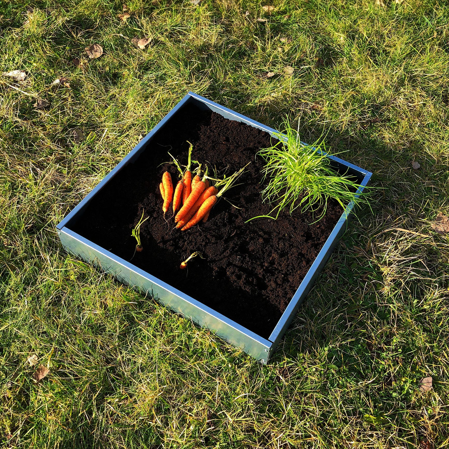 Bellamy Galvanised Steel Edging Raised Bed Kit for Vegetable Patches - Image 4