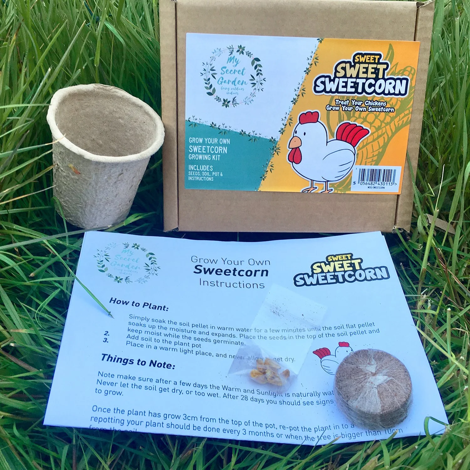 My Secret Garden Grow Your Own Sweetcorn Growing Kit - Image 2