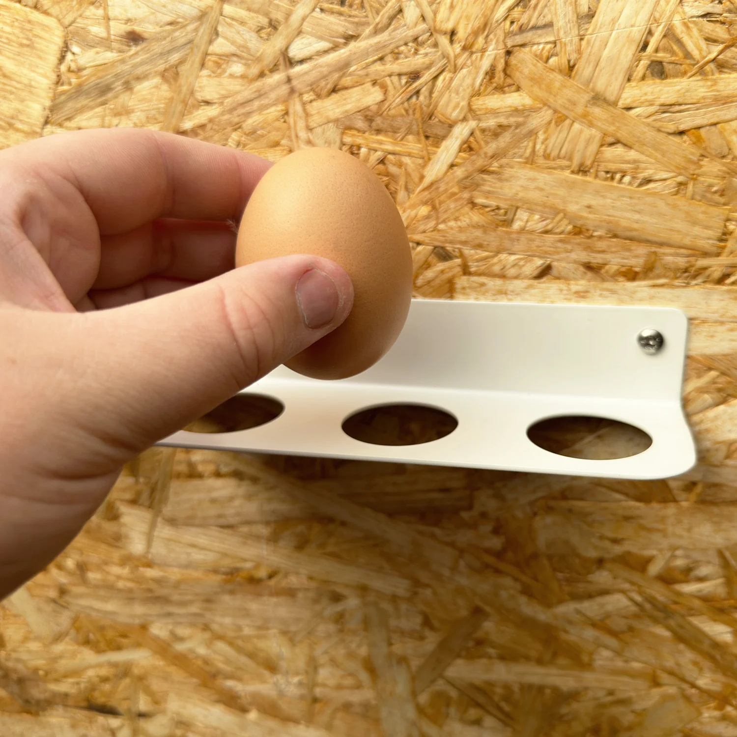 Okunaii™ Wall Mount Egg Holder Rack - Image 13
